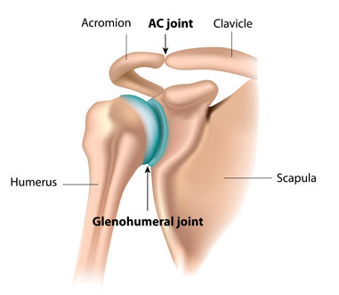 AC Joint